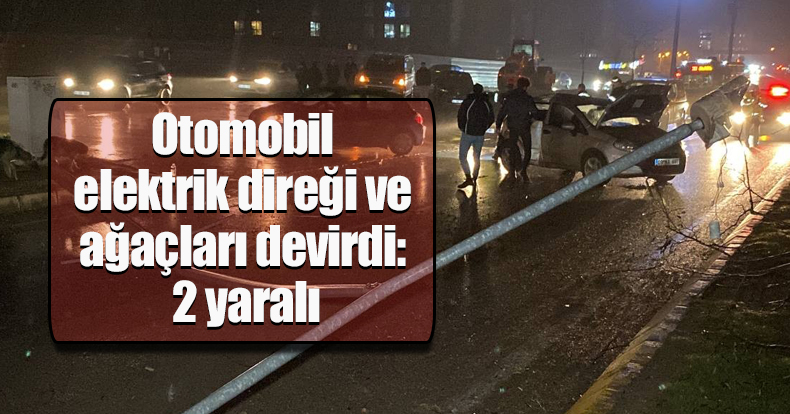 Kocaeli'de otomobil elektrik direği ve ağaçları devirdi: 2 yaralı