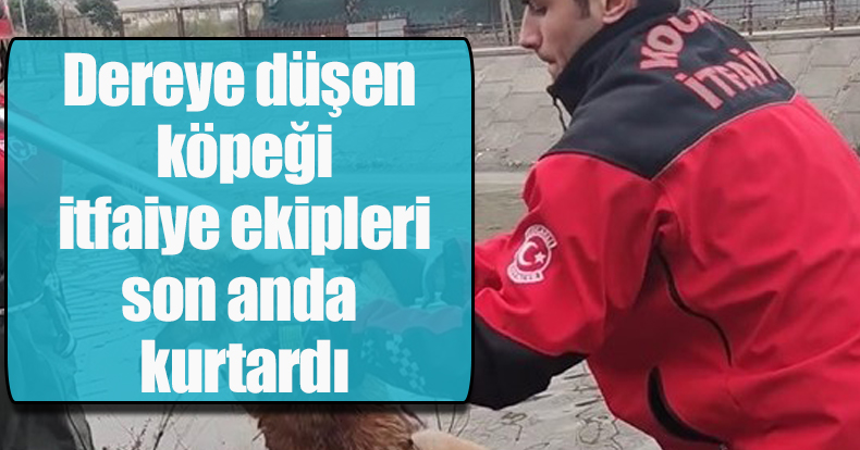 Dereye düşen köpeği itfaiye ekipleri son anda kurtardı