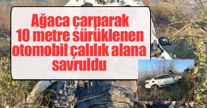 Ağaca çarparak 10 metre sürüklenen otomobil çalılık alana savruldu