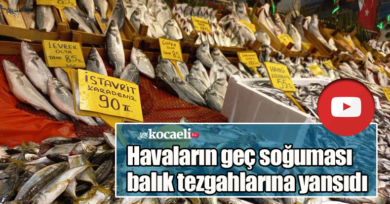 Havaların geç soğuması balık tezgahlarına yansıdı