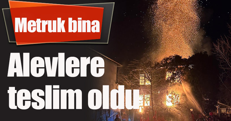 Metruk bina alevlere teslim oldu