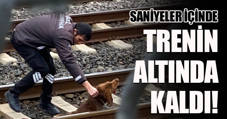 SANİYELER İÇİNDE TRENİN ALTINDA KALDI! 