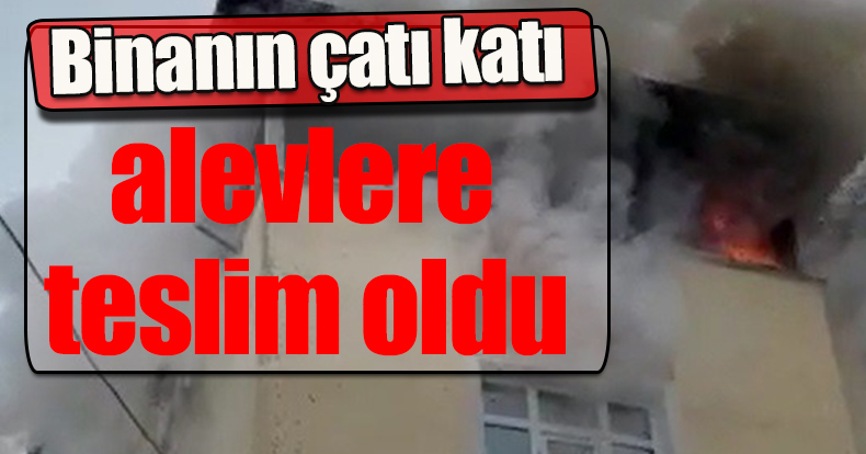 Binanın çatı katı alevlere teslim oldu, 1 kişi dumandan etkilendi