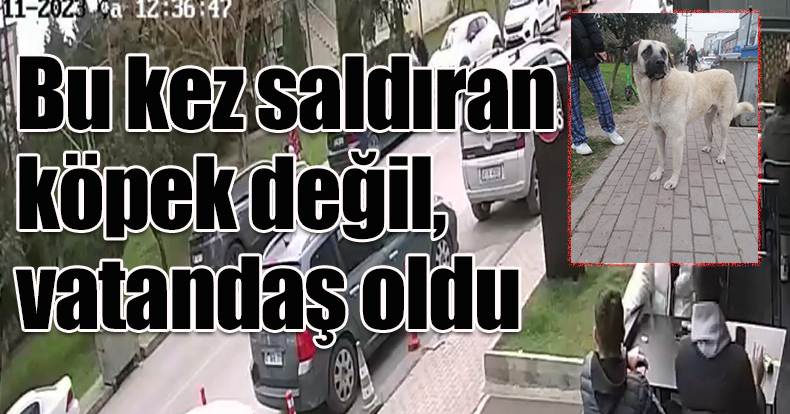Bu kez saldıran köpek değil, vatandaş oldu