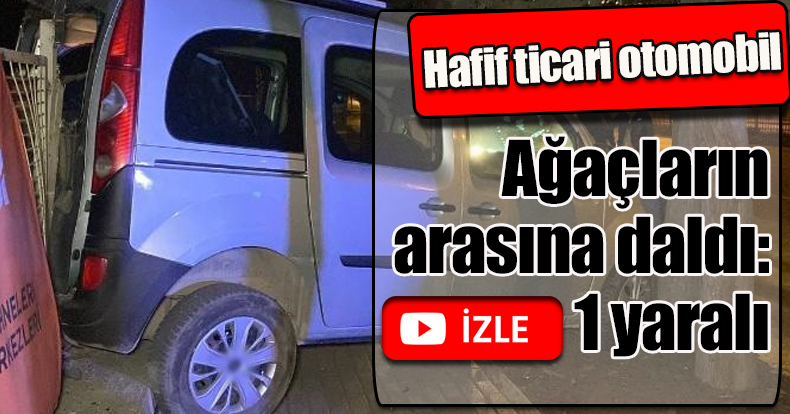Hafif ticari otomobil ağaçların arasına daldı: 1 yaralı