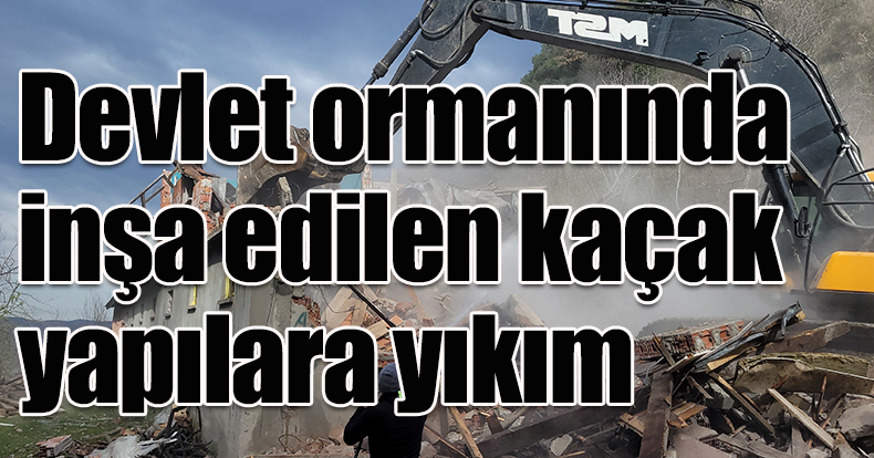 Devlet ormanında inşa edilen kaçak yapılara yıkım
