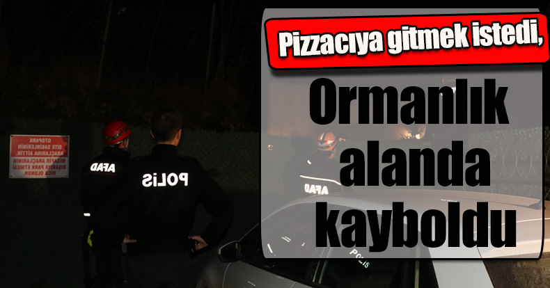 Pizzacıya gitmek istedi, ormanlık alanda kayboldu