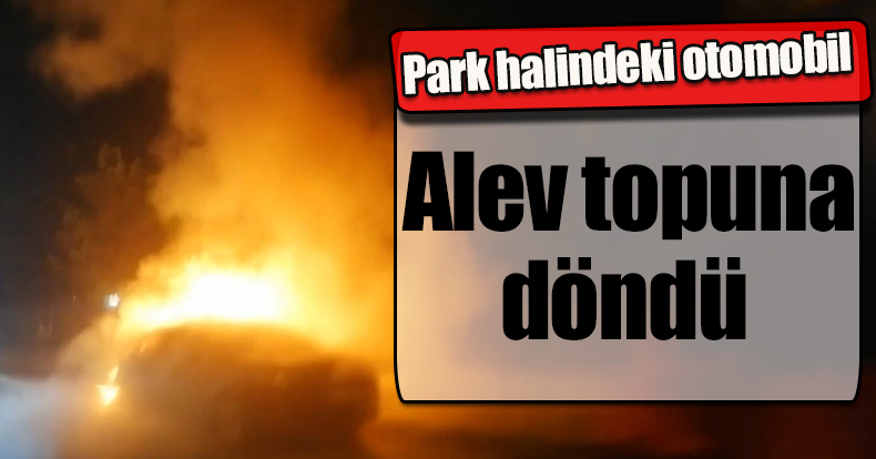 Park halindeki otomobil alev topuna döndü