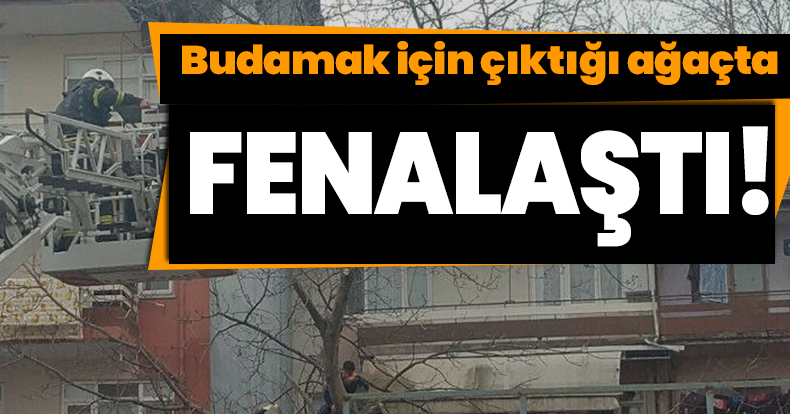 Budamak için çıktığı ağaçta fenalaştı!