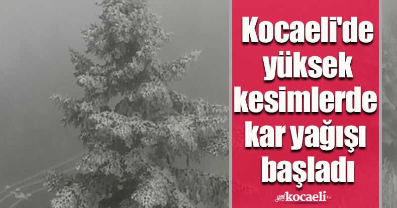 Kocaeli'de yüksek kesimlerde kar yağışı başladı