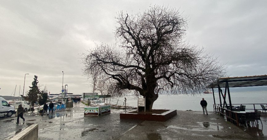 İzmit Körfezi'nin dibinde, 4 buçuk asırdır ayakta duruyor