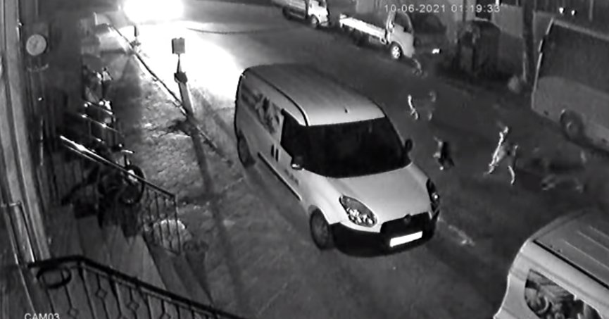 İZMİT'TE BAŞIBOŞ KÖPEK DEHŞETİ KAMERALARA BÖYLE YANSIDI