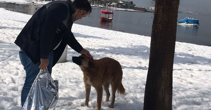 Başiskele’de Soğuk Kış Günlerinde Her Can Önemli