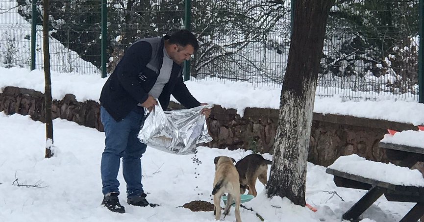 Başiskele Belediyesi hayvanları unutmuyor