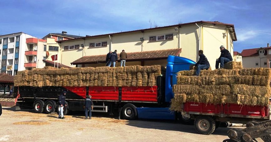 Deprem bölgesine 1.590 çuval yem gönderildi