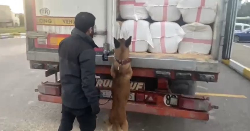 Binlerce hayatın kararmasını engellediler