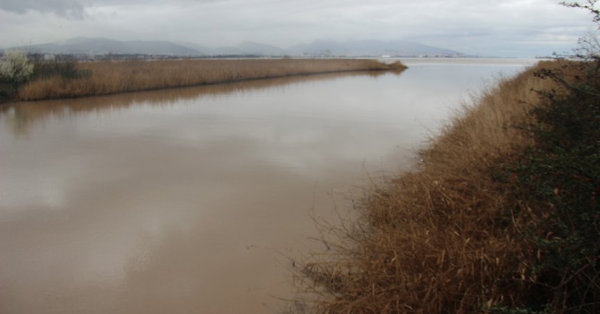 İzmit Körfezi kahverengiye büründü