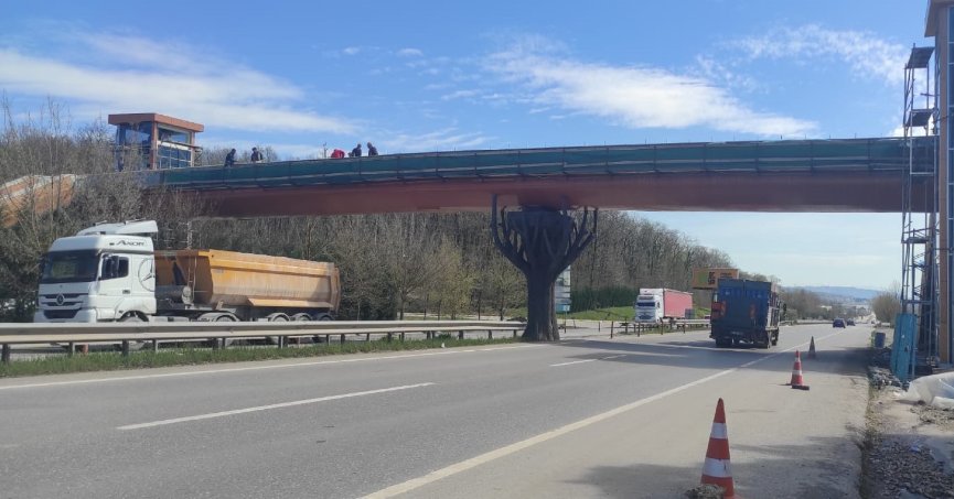 Ormanya yaya üstgeçidinde sona doğru