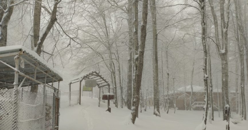 Bahar ayında Kocaeli beyaza büründü, kar kalınlığı 30 santimi aştı