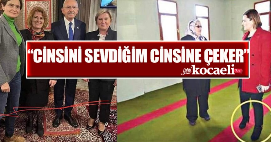 CİNSİNİ SEVDİĞİM CİNSİNE ÇEKER