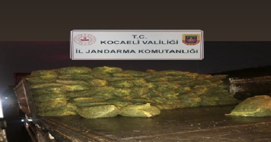 Kocaeli'de 10 ton kaçak midye ele geçirildi