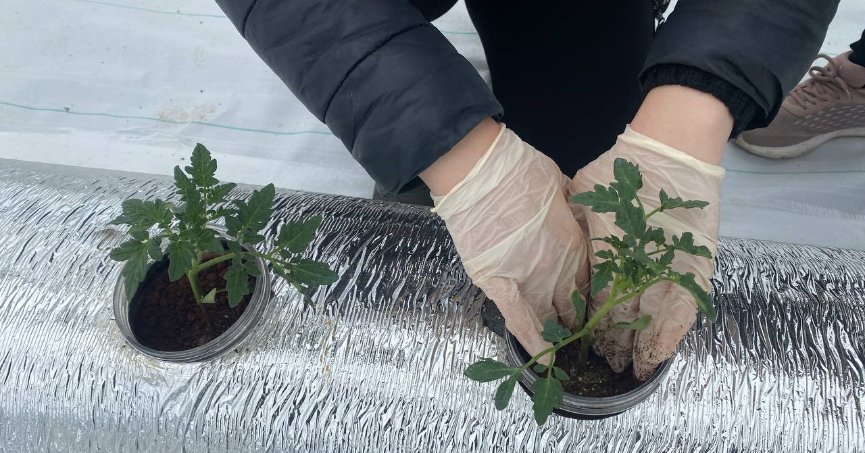 Bu proje tarımda örnek olacak