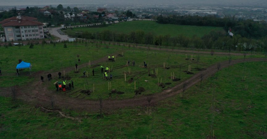 Azerbaycan ve Türkiye Kardeşliği Ormanına Haydar Aliyev’in anısına 100 fidan
