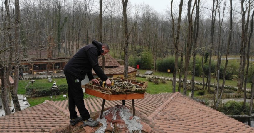 Ormanya’dan engelli leylekler için özel proje