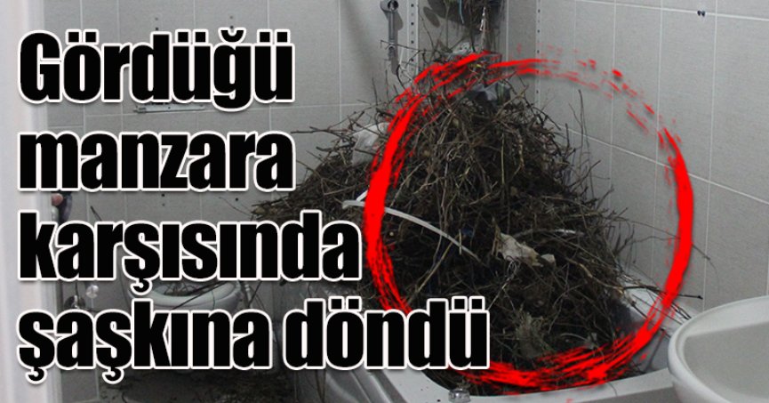 Tatilden evine dönen vatandaş gördüğü manzara karşısında şaşkına döndü