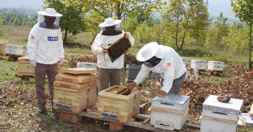 Büyükşehir’den arıcılara 55 ton arı yemi
