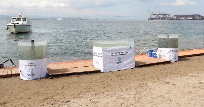 TCG NUSRET müze gemisi, 02 Mayıs 2023 tarihinde İzmit Yat Limanını ziyaret ederek 10.00 – 12.00 ile 13.00 – 18.30 saatleri arasında halkımızın ziyaretine açılacaktır. 