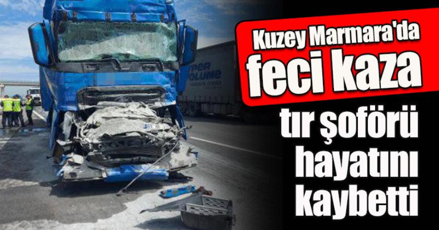 Kuzey Marmara'da feci kaza: Kargo tırının şoförü hayatını kaybetti