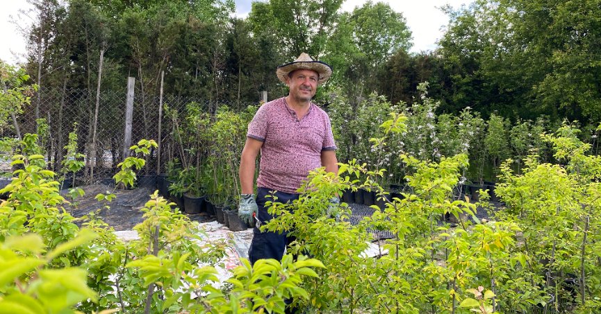 Rüzgarlı havada çiçeklerin akşam sulanması gerekiyor