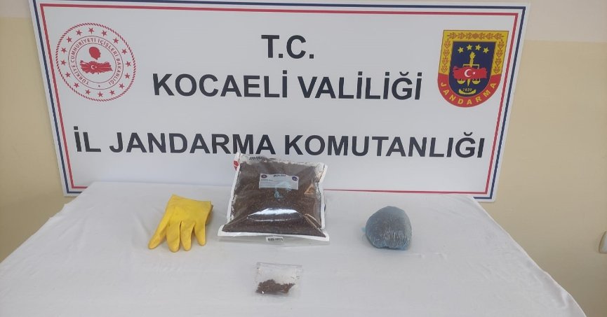 Şüphelinin evinde yapılan operasyonda bonzai ele geçirildi