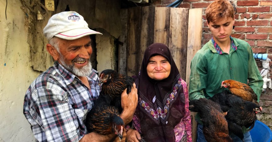 Büyükşehir’den üreticilere yüzde 50 hibeli yumurta tavuğu