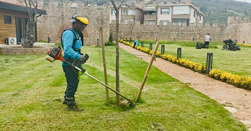 Körfez’de yabani otlar temizleniyor