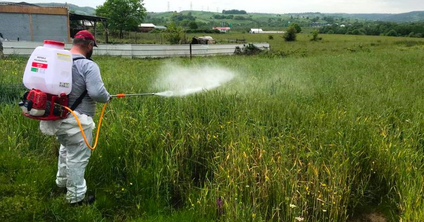 Buğday arazilerine, gübreleme desteği