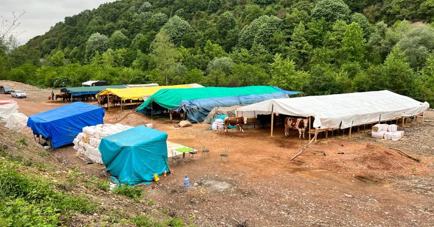 Kurbanlık Hayvan Satış Yeri İçin Hazırlıklar Tamam