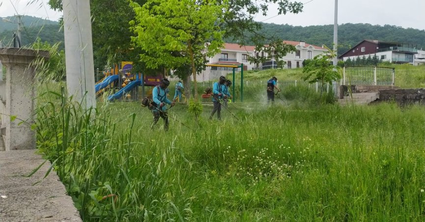 Başiskele’nin Yeşil Alanları Güzelleşiyor