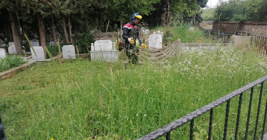 Körfez Mezarlığında yabani ot temizliği başladı