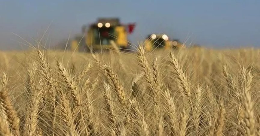 Tarımsal desteklemede ödemeler bugün hesaplara yatacak