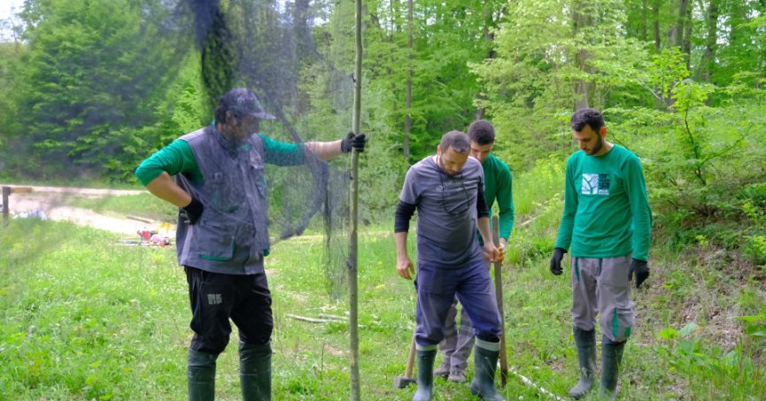 Ormanya Kuş Halkalama İstasyonu kuruldu