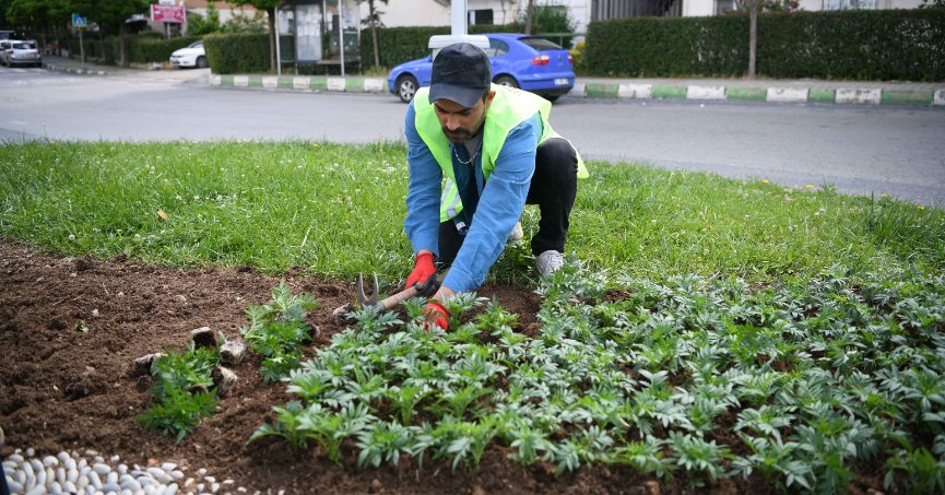 Kavşaklar mevsimlik çiçeklerle güzelleşiyor