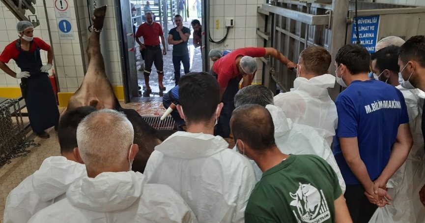 İslami usullere uygun kurban kesimi için eğitim veriliyor