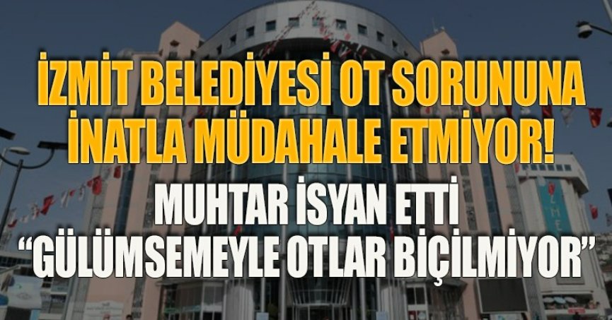 İZMİT BELEDİYESİ OT SORUNUNA İNATLA MÜDAHALE ETMİYOR! MUHTAR İSYAN ETTİ “GÜLÜMSEMEYLE OTLAR BİÇİLMİYOR”
