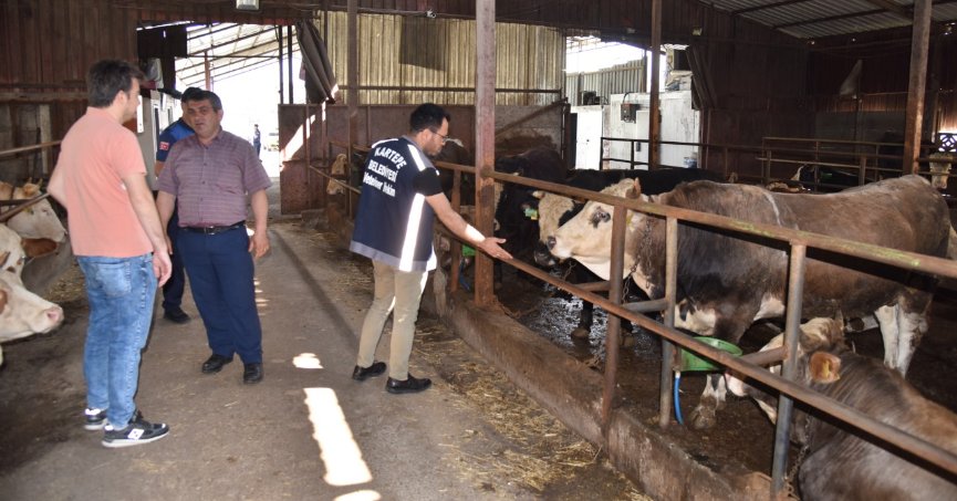KARTEPE’DE KURBAN SATIŞINA SIKI DENETİM