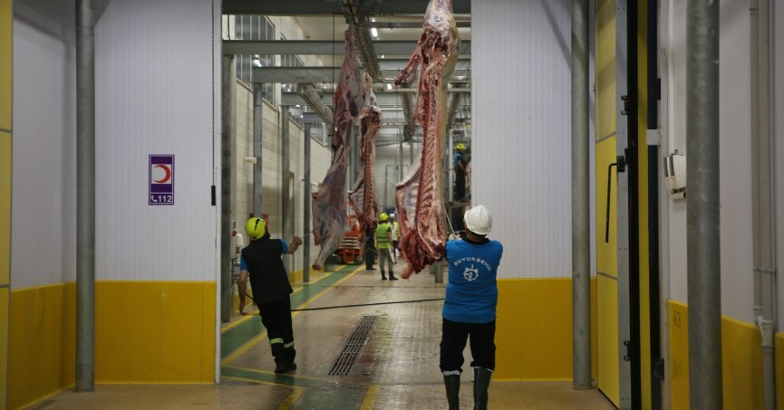 Modern kesimhanede dini hükümlere uygun kesim