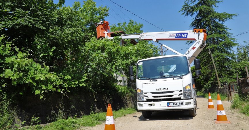 İletkenlere temas eden ağaçlar budanıyor