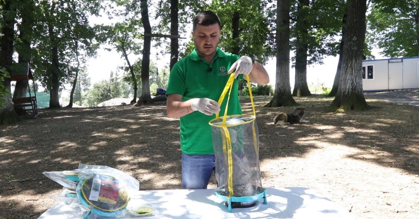 Vektör mücadelesinde karasinek tuzağı