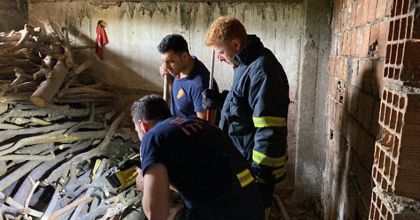 Yılan ihbarı itfaiye ekiplerini harekete geçirdi